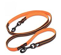 WINHYEPET True Love 7 en 1 Laisse de Dressage pour Chien réglable multifonctionnelle Mains Libres Laisse de Dressage pour Animaux de Compagnie en Nylon réfléchissant Confortable Laisse TLL2411