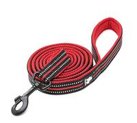 WINHYEPET True Love Chien Laisse Nylon Réfléchissant Poignée Confortable Lead Puppy Training Marche Corde Contrôle Facile Applicable à Toutes Les Races Longueur 110 cm TLL2111(Rouge,S)
