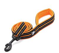 WINHYEPET True Love Chien Laisse Nylon Réfléchissant Poignée Confortable Lead Puppy Training Marche Corde Contrôle Facile Applicable à Toutes Les Races Longueur 110 cm TLL2111(Orange,L)