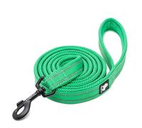 WINHYEPET True Love Chien Laisse Nylon Réfléchissant Poignée Confortable Lead Puppy Training Marche Corde Contrôle Facile Applicable à Toutes Les Races Longueur 110 cm TLL2111(Vert Herbe,L)