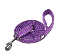 WINHYEPET True Love Chien Laisse Nylon Réfléchissant Poignée Confortable Lead Puppy Training Marche Corde Contrôle Facile Applicable à Toutes Les Races Longueur 110 cm TLL2111(Violet,L)