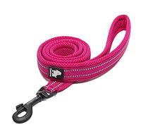 WINHYEPET True Love Chien Laisse Nylon Réfléchissant Poignée Confortable Lead Puppy Training Marche Corde Contrôle Facile Applicable à Toutes Les Races Longueur 110 cm TLL2111(Fuchsia,L)