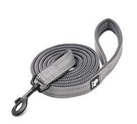 WINHYEPET True Love Chien Laisse Nylon Réfléchissant Poignée Confortable Lead Puppy Training Marche Corde Contrôle Facile Applicable à Toutes Les Races Longueur 110 cm TLL2111(Gris,S)