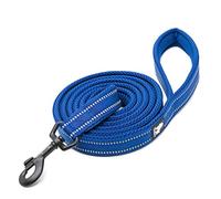 WINHYEPET True Love Chien Laisse Nylon Réfléchissant Poignée Confortable Lead Puppy Training Marche Corde Contrôle Facile Applicable à Toutes Les Races Longueur 110 cm TLL2111(Bleu Royal,L)