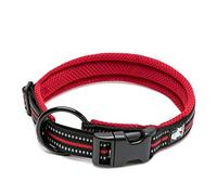WINHYEPET True Love Collier pour Chien Doublure Sandwich réfléchissante Sangle en Nylon Boucle réglable Confortable et sûre, Pratique pour Anneau de Cou Samll/Medium/Large TLC5011