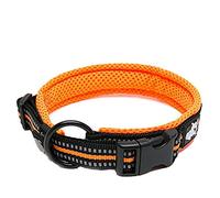WINHYEPET True Love Collier pour Chien Doublure Sandwich réfléchissante Sangle en Nylon Boucle réglable Confortable et sûre, Pratique pour Anneau de Cou Samll/Medium/Large TLC5011