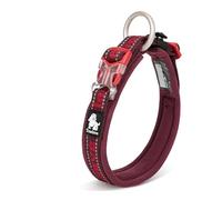 WINHYEPET True Love Collier pour Chien réfléchissant, Sangle Nylon Boucle réglable Confortable et sûre, Pratique pour Les promenades pour Les Petits Chiens Anneau de Cou TLC50121