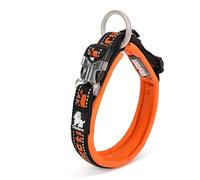 WINHYEPET True Love Collier pour Chien réfléchissant, Sangle Nylon Boucle réglable Confortable et sûre, Pratique pour Les promenades pour Les Petits Chiens Anneau de Cou TLC50121
