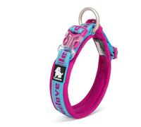 WINHYEPET True Love Collier pour Chien réfléchissant, Sangle Nylon Boucle réglable Confortable et sûre, Pratique pour Les promenades pour Les Petits Chiens Anneau de Cou TLC50121