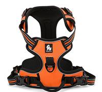 WINHYEPET True Love Harnais pour Chien Harnais Anti Traction pour Chien Réfléchissant Réglable, Harnais Rembourré Sécurisé, Harnais pour Chien Moyen et Grand, TLH5651(Orange,XS)