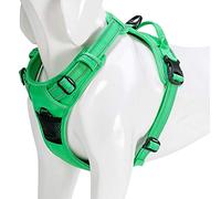 WINHYEPET True Love Harnais pour Chien Harnais Anti Traction pour Chien Réfléchissant Réglable, Harnais Rembourré Sécurisé, Harnais pour Chien Moyen et Grand, TLH5651(Vert Herbe,XL)