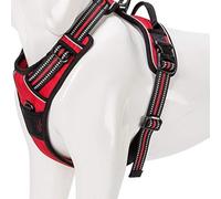 WINHYEPET True Love Harnais pour Chien Harnais Anti Traction pour Chien Réfléchissant Réglable, Harnais Rembourré Sécurisé, Harnais pour Chien Moyen et Grand, TLH5651(Rouge,S)