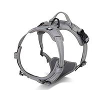 WINHYEPET True Love Harnais pour Chien Harnais Anti Traction pour Chien Réfléchissant Réglable, Harnais Rembourré Sécurisé, Harnais pour Chien Moyen et Grand, TLH5651(Gris,S)