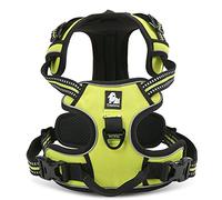 WINHYEPET True Love Harnais pour Chien Harnais Anti Traction pour Chien Réfléchissant Réglable, Harnais Rembourré Sécurisé, Harnais pour Chien Moyen et Grand, TLH5651(Jaune Fluo, XL)