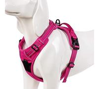 WINHYEPET True Love Harnais pour Chien sans Tirette Avant Clip Gilet Harnais de Voiture pour Chien réglable avec poignée Quatre Points de réglage Matériau réfléchissant, TLH5651(Fuchsia,XS)