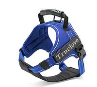 WINHYEPET True Love Harnais réfléchissant pour Chien réglable pour la Course à Pied, la Marche, Le contrôle Facile pour Animaux de Compagnie de Petite, Moyenne et Grande Taille TLH5753(Bleu Royal, M)
