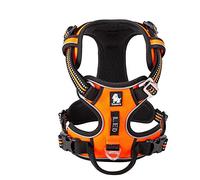 WINHYEPET True Love TLH56512 Harnais anti-traction extra réfléchissant et réglable en maille rembourrée et douce pour chiens de petite, moyenne et grande taille - pour la course à pied et la promenade