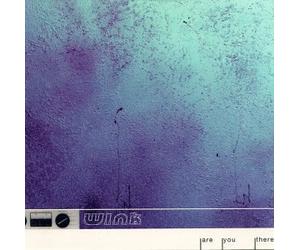 Wink - are You There/Autumn Dayz