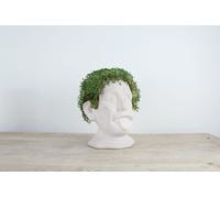 Winkee - Chia Genie I Buste en céramique pour cultiver les graines de chia I Bac de culture en forme de tête amusante I Chia Seeds Starter Kit