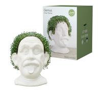 Winkee - Chia Genie I Tête comme animal de plantation de chia I Buste en céramique pour faire pousser des graines de chia I Bol de culture en forme de tête amusante I Kit de démarrage de graines de