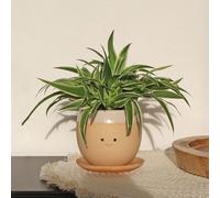 Winkee - Crying Plant Pot - Planter