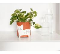 Winkee - Flower Pot Bowl - Flower Pot Cat - 13 Cm