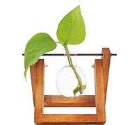 WINKEE Hydro Vase Lilly - 1 pcs
