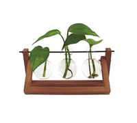 Winkee - Hydro Vases Blossom - Vase