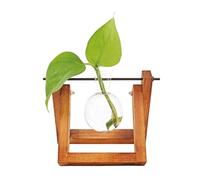 Winkee - Hydro Vases Flower Vase