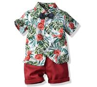 Winmany Ensemble Hawaï pour BéBé GarçOn Petits Enfants Chemise et Short en Coton pour Enfants VêTements Plage D'éTé à Fleurs Tropicales (2, Rouge, 2-3T)