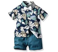 Winmany Ensemble Hawaï pour BéBé GarçOn Petits Enfants Chemise et Short en Coton pour Enfants VêTements Plage D'éTé à Fleurs Tropicales (2, Bleu, 9-12M)
