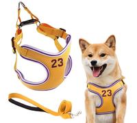 Winmany Harnais réglable pour Chien sans Traction pour Animal Domestique, Gilet pour Chiot, Ensemble de laisses réfléchissantes avec numéro imprimé, Sangle de Poitrine pour Chien et Chat de Petite et