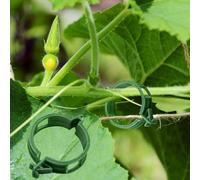 Winmany Lot de 100 supports muraux pour plantes grimpantes - 3 tailles - Crochets autocollants invisibles - Clips de fixation pour légumes (vert), WINMANY0113PLANT