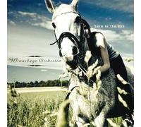 The Winnebago Orchestra Born in the Sun (CD) Album