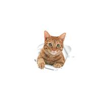 WINOMO Sticker Chat Toilette Amovible en PVC Autocollant Mural 3D pour Siège de toilette ou salle de bain