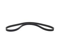 Winora Courroie d'entraînement H2 Saris Unisexe pour Adulte Multicolore Taille Unique