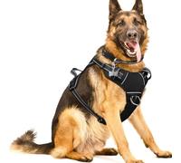 WINSEE Harnais pour Chien sans Traction, Harnais pour Animaux de Compagnie avec Collier pour Chien, Gilet d'extérieur Oxford réglable, réfléchissant, Taille XL, poignée de contrôle Facile pour la