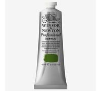 Winsor & Newton Acrylique D'artiste 60ml Chrom Oxide Vert Vert