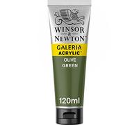 Winsor & Newton Acrylique Galeria 120ml Vert Olive Série 1