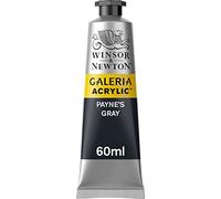 Winsor & Newton Acrylique Galeria 60ml Gris De Payne Série 1