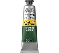 Winsor & Newton Acrylique Galeria 60ml Vert De Hooker Série 1