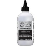 Winsor & Newton Additif Artists Acrylic Colour Medium Retardateur 250ml
