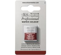 Winsor & Newton Aquarelle Professionnel - Peinture Aquarelle, Haute Luminosité, Résistante à la Lumière, Qualité Archive, Demi Godet, Couleur Violet Caput Mortuum