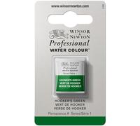 Winsor & Newton Aquarelle Professionnel - Peinture Aquarelle, Haute Luminosité, Résistante à la Lumière, Qualité Archive, Demi Godet, Couleur Vert de Hooker