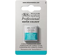 Winsor & Newton Aquarelle Professionnel – Qualité archive – Demi-godet Turquoise de Cobalt Clair