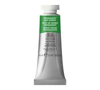 Winsor & Newton Aquarelle Professionnel - Peinture Aquarelle, Haute Luminosité, Résistante à la Lumière, Qualité Archive, Tube de 14 ML, Couleur Vert de Vessie Permanent