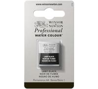 Winsor & Newton Aquarelle Professionnel - Peinture Aquarelle, Haute Luminosité, Résistante à la Lumière, Qualité Archive, Demi Godet, Couleur Noir de fumée