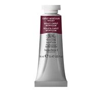 Winsor Newton Aquarelle Professionnelle 14ml 047oz Tube Caput Mortuum Violet
