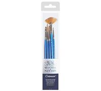 Winsor & Newton Cotman 5 Pinceaux Manche Court