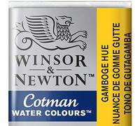 Winsor & Newton Cotman Aquarelle 1/2 Godet Gomme Gutte Imitation